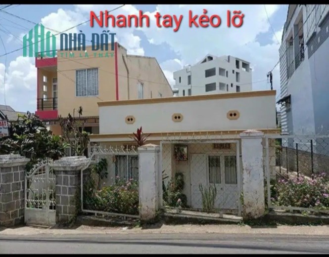 Bán đất 239 m2 sổ riêng xây dựng 2 mặt tiền đường Phan Chu Trinh, P9, Đà Lạt
