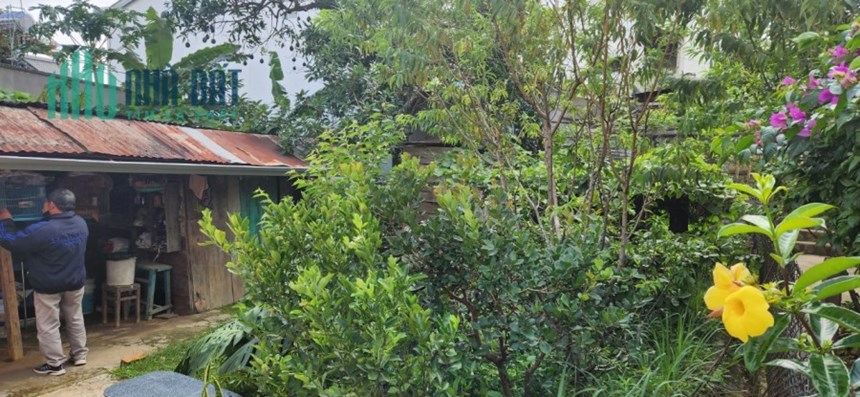 Bán đất 239 m2 sổ riêng xây dựng 2 mặt tiền đường Phan Chu Trinh, P9, Đà Lạt