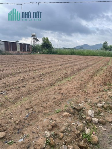 ĐẤT CHÍNH CHỦ Vị Trí Đẹp Tại 195 Tân An, Tân Hội, Huyện Đức Trọng - Lâm Đồng