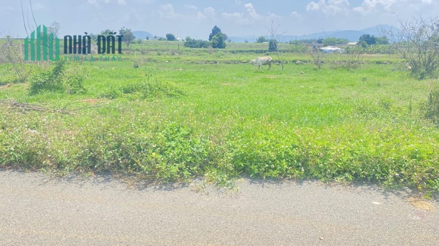 Đất hẻm hàn thuyên hồ nam sơn đức trọng lâm đồng mà giá chỉ 2,6 tỷ