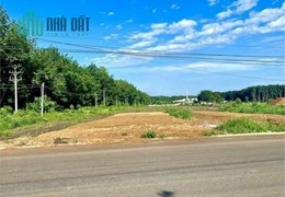 CẦN TIỀN GẤP tôi bán lỗ 3 lô đất 480m2 thổ cư giá chỉ 290TR/NỀN. Đất ngay chợ, sát đường QL13