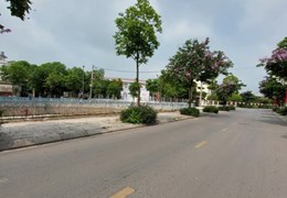 Đất Liên Ninh 50m2 mt5m - kinh doanh –2 thoáng - ô tô đỗ cửa 2.5 tỷ.