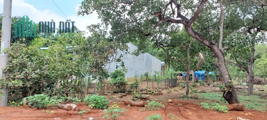 Chính chủ bán gấp vườn 7749m2 gần tp. Đồng Xoài  Bình Phước