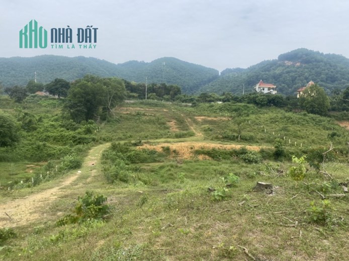 Bán 2,5ha Bãi Dài, Tiến Xuân, Thạch Thất, Hà Nội Có 900m Bám Đường 50m Giá Nhỉnh 3tr/m2