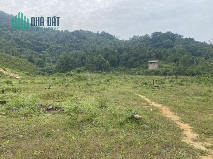 Bán 2,5ha Bãi Dài, Tiến Xuân, Thạch Thất, Hà Nội Có 900m Bám Đường 50m Giá Nhỉnh 3tr/m2