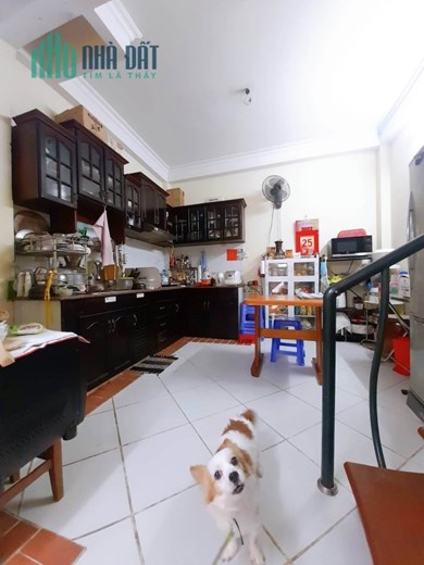 CHỈ 1 CĂN SIÊU NGON – HOÀNG HOA THÁM Q.BÌNH THẠNH – XE HƠI ĐỖ CỬA – SỔ VUÔNG 4 TẤM CHỈ 7.6 TỶ
