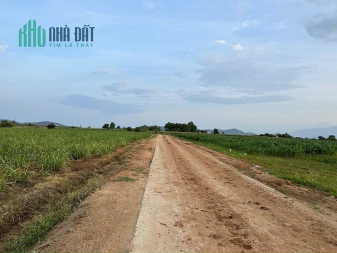 Sở Hữu Ngay Lô Đất Đẹp Vị Trí Đắc Địa Tại Xã Mỹ Sơn - Ninh Sơn - Ninh Thuận