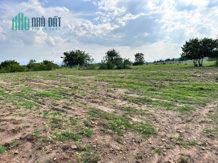 Sở Hữu Ngay Lô Đất Đẹp Vị Trí Đắc Địa Tại Xã Mỹ Sơn - Ninh Sơn - Ninh Thuận