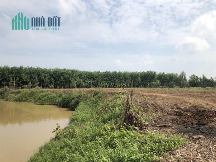 Đất Vườn Sổ Riêng giá chỉ 398 nghìn/m2 Châu Thành-Tây Ninh