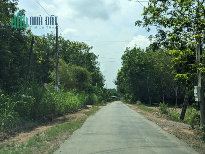 Đất Vườn Sổ Riêng giá chỉ 398 nghìn/m2 Châu Thành-Tây Ninh