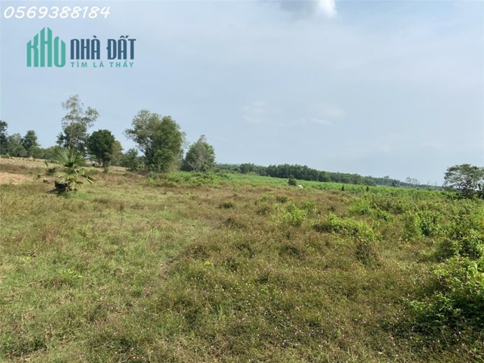 Xuân Hòa – Xuân Lộc 4500m2 chỉ 233TR/SÀO HH 3%