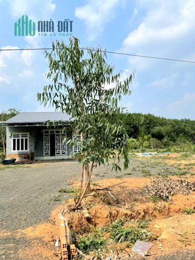 Cần bán gấp miếng đất với căn nhà để đi Mỹ