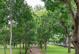 NHÀ 4 TẦNG- LÀN 2 HOÀNG HOA THÁM- SÁT CÔNG VIÊN, KHÔNG KHÍ TRONG LÀNH- KHÔNG GIAN THOÁNG ĐÃNG- MT