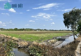 CHÍNH CHỦ BÁN ĐẤT TRỒNG LÚA XÃ BÌNH AN, THỦ THỪA, LONG AN - GIÁ RẺ