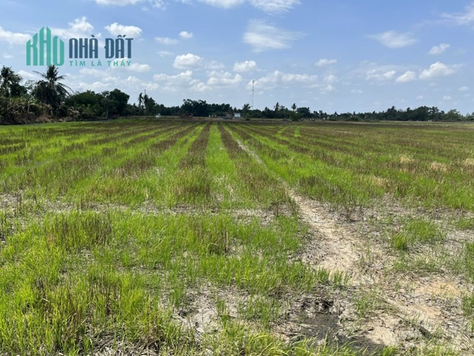 CHÍNH CHỦ BÁN ĐẤT TRỒNG LÚA XÃ BÌNH AN, THỦ THỪA, LONG AN - GIÁ RẺ