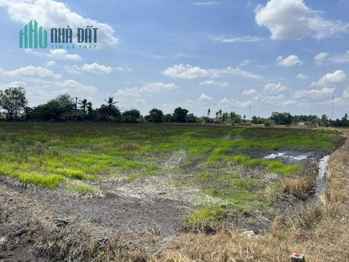 CHÍNH CHỦ BÁN ĐẤT TRỒNG LÚA XÃ BÌNH AN, THỦ THỪA, LONG AN - GIÁ RẺ