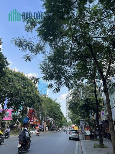Bán nhà mặt phố Thái Hà, vị trí kim cương, kinh doanh đỉnh, thông số đẹp, 4 tầng, 68m, 41,9 tỷ.
