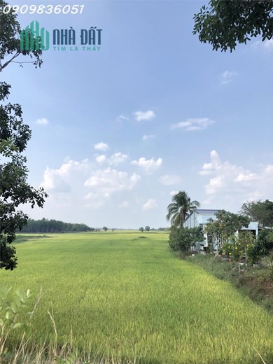 XEM LÀ ƯNG NGAY 1500m2 ĐẤT VƯỜN - SỔ RIÊNG GIÁ RẺ CHỈ 472 NGHÌN / M2