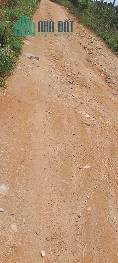 SỞ HỮU NGAY Lô Đất Đẹp Xã Ea Đar Huyện Ea Kar Đăk Lăk