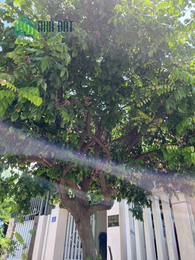 Chính chủ cho thuê nhà nguyên căn C4 tại 11 Trung hoà 2 , phường Hoà quí , Quận Ngũ Hành Sơn - Ngũ