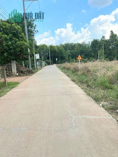Chủ ngộp bán gấp lô 5x40 100m2 thổ cư đường này giá 210tr
