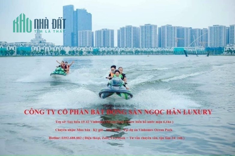 Bán gấp Shophouse Sao biển 23 Vinhomes Gia Lâm. Giá chỉ có 10 tỷ
