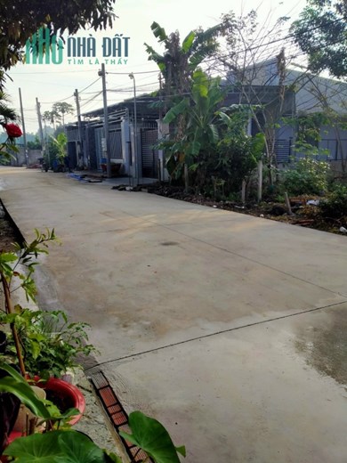 CHÍNH CHỦ CẦN CHO THUÊ ĐẤT THỔ CƯ Ở ẤP 5 XÃ LONG PHƯỚC - LONG THÀNH- ĐỒNG NAI.