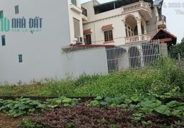 Chính Chủ Cần Bán Đất Ở Thôn Vân La, xã Hồng Vân, Huyện Thường Tín, Hà Nội.