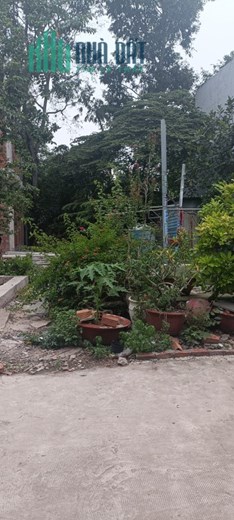 Bán đất ngộp đối diện trường THCS Phú Hòa 2, TP. Thủ Dầu Một  giá 2,1 tỷ