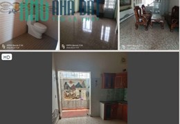 Chính chủ Cho thuê nhà riêng tại  lô số 31 - Đường Đình Đông - An Đồng  - An Dương - Hải Phòng .