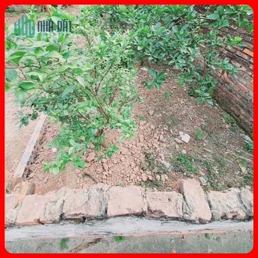 [Đất đẹp!!] hơn tỷ có ngay đất Kim Chung Yên Bệ ngay ngã tư Sơn Đồng, diện tích 40.2m2- gọi Bắc