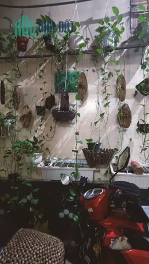 Bán nhà đẹp Hương Lộ 2 Bình Tân 57m2 ngang 4m 2PN gần HXH chỉ nhỉnh 3 tỷ