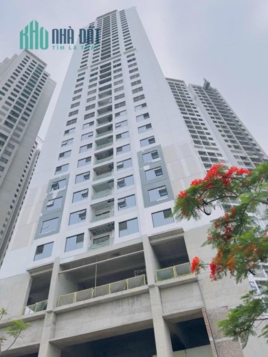 𝗛𝗼𝗮𝗻𝗴 𝗛𝘂𝘆 𝗖𝗼𝗺𝗺𝗲𝗿𝗰𝗲 - Đẳng cấp tiên phong tại Hải Phòng