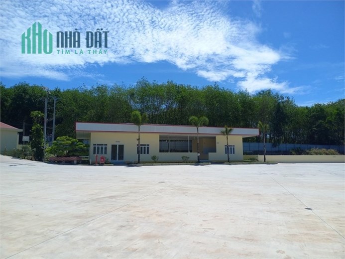 Bán Gấp nhà xưởng đang cho thuê thu nhập cao. đất SKC đóng thuế 1 lần. Phú Giáo.