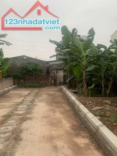 Chính chủ cần bán gấp 156m2 đất nở hậu Khu đấu giá Hoàng Long, Đặng Xá, Gia Lâm.Hà Nội