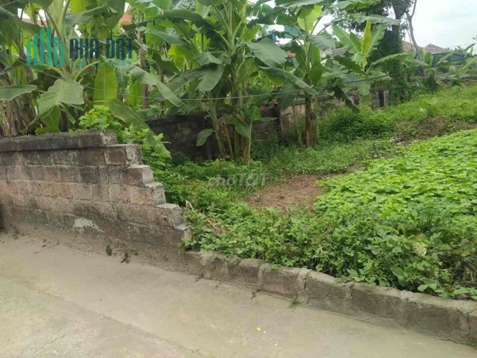 Bán đất  Xã Hồng Vân, Huyện Thường Tín, Hà Nội
