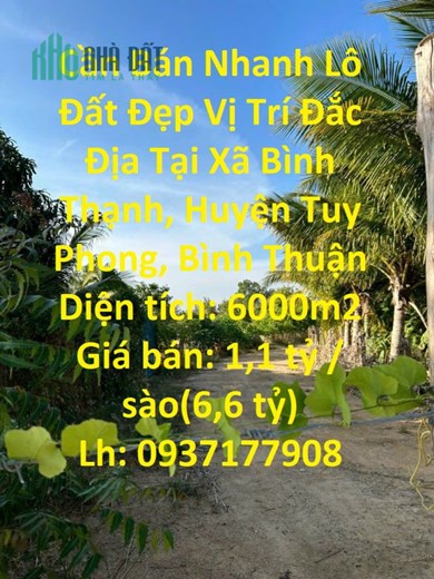 Cần Bán Nhanh Lô Đất Đẹp Vị Trí Đắc Địa Tại Xã Bình Thạnh, Huyện Tuy Phong, Bình Thuận