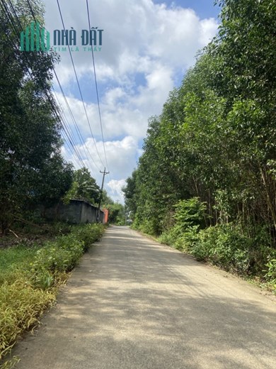 Bán lô đất đường QL 51, X.Long Phước, Long Thành, Đồng Nai