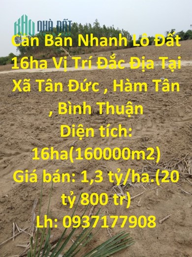 Cần Bán Nhanh Lô Đất  16ha Vị Trí Đắc Địa Tại Xã Tân Đức , Hàm Tân , Bình Thuận