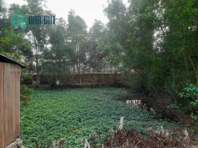 CHÍNH CHỦ CẦN BÁN NHANH lô đất TIỀM NĂNG tại huyện Thạnh Hóa tỉnh Long An