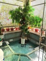 CẦN BÁN GẤP -PLÔ NGUYỄN NGỌC NẠI 50M x 8T GIÁ 10.5 TỶ - Ô TÔ TRÁNH- THANG MÁY- FULL NỘI THẤT