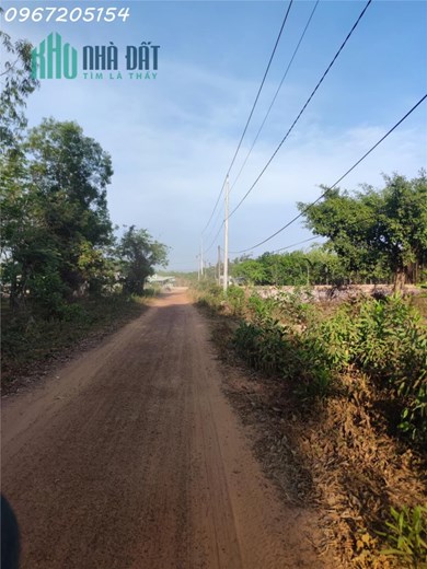 Trọn sổ 470tr có ngay 1310m2 SHR Tây Ninh