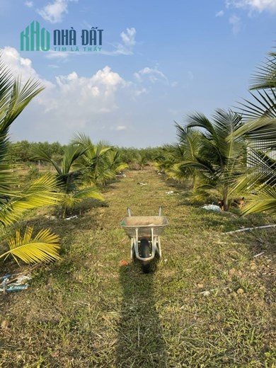 Chính Chủ Cần Bán Gấp Lô Đất Khu Nghỉ Dưỡng Gia Đình Vị Trí Đẹp Tại Đồng Nai