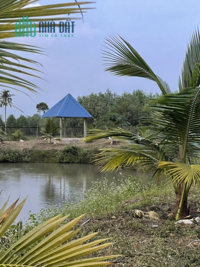 Chính Chủ Cần Bán Gấp Lô Đất Khu Nghỉ Dưỡng Gia Đình Vị Trí Đẹp Tại Đồng Nai