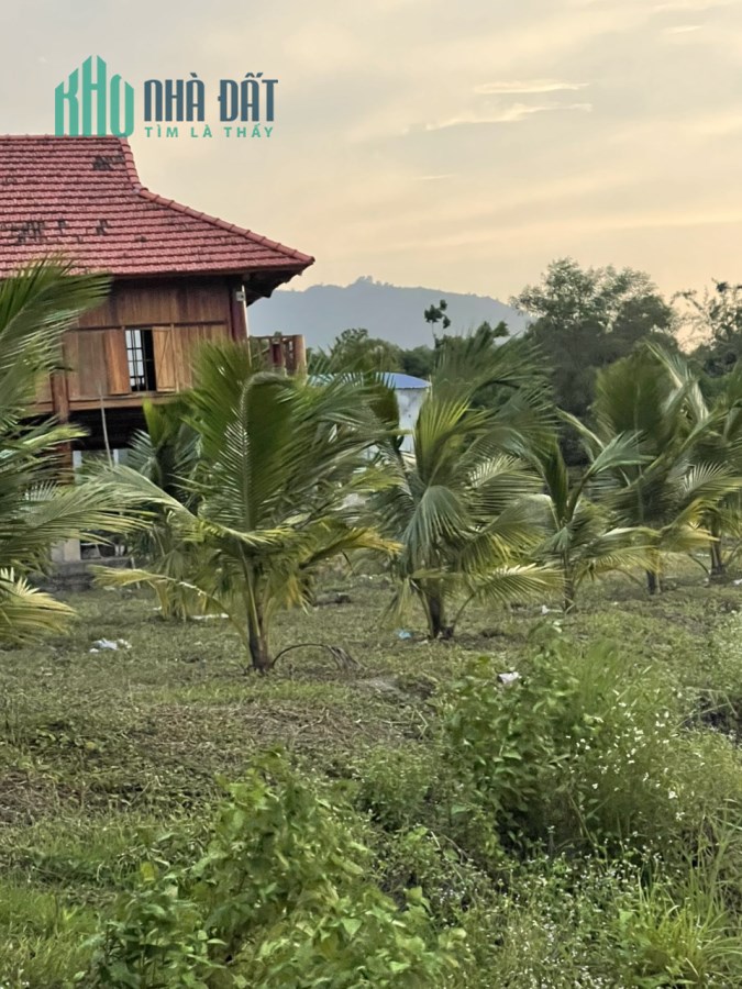 Chính Chủ Cần Bán Gấp Lô Đất Khu Nghỉ Dưỡng Gia Đình Vị Trí Đẹp Tại Đồng Nai