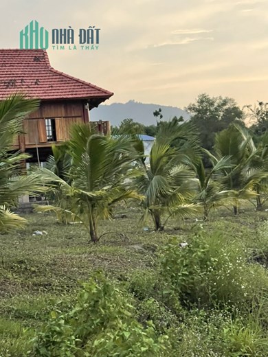 Chính Chủ Cần Bán Gấp Lô Đất Khu Nghỉ Dưỡng Gia Đình Vị Trí Đẹp Tại Đồng Nai