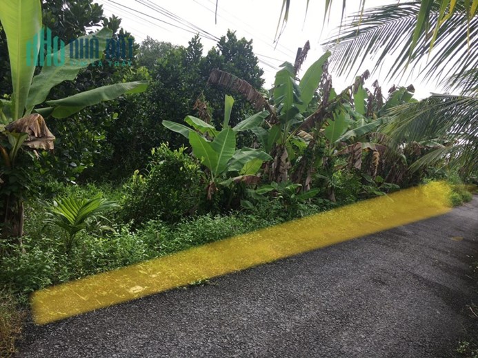 Bán 502,7m2 đất trồng Mít Thái tại xã Tân Hòa, TP Vĩnh Long, SHR, 3.4 tỷ. Lh:0932622305
