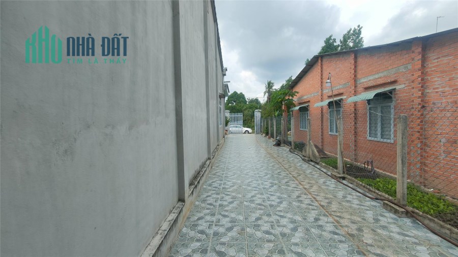 Bán căn nhà ngộp ngộp tại Phước Đông - Giải pháp cho nhu cầu ngày càng tăng!
