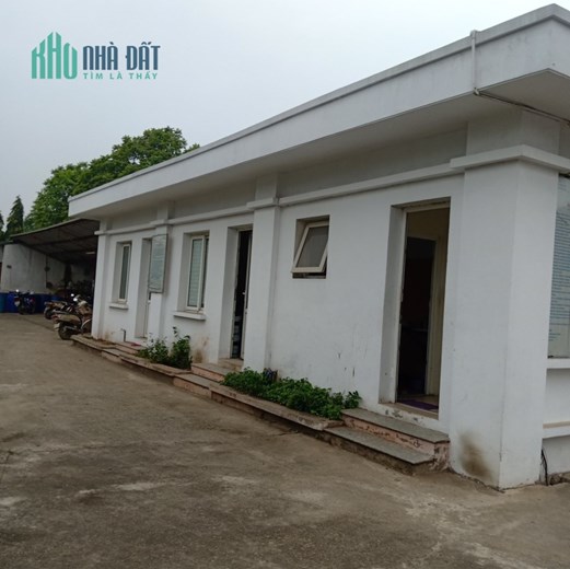 Bán 1ha đất TMDV tại Ninh Giang, Hải Dương. Sẵn 3500m2 nhà xưởng