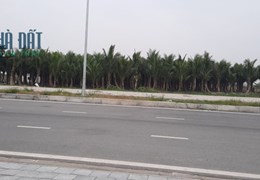 Bán 4ha đất công nghiệp tại Ninh Giang, Hải Dương. Đất trả tiền 1 lần
